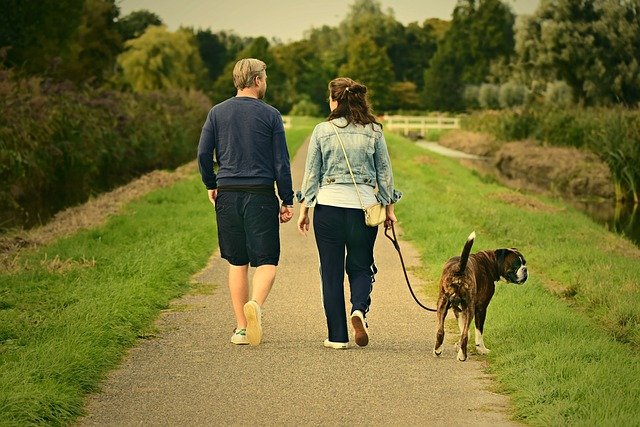 How Long Should a Dog walk?